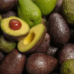 HASS AVOCADO