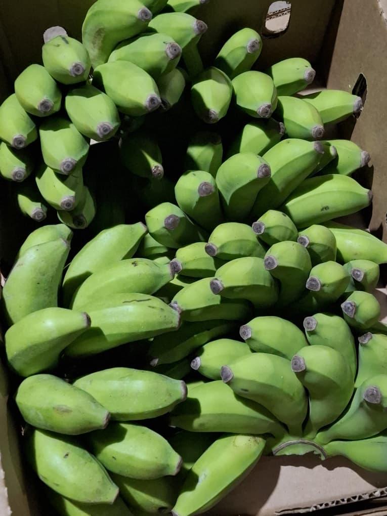 Matooke (Green Cooking Bananas)
